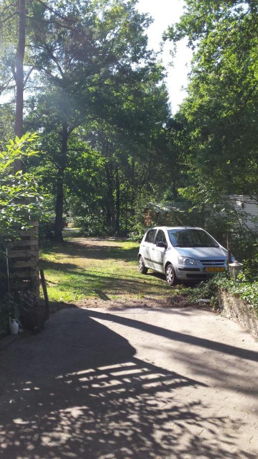 Boshuisje In Ijhorst Villa Exteriör bild