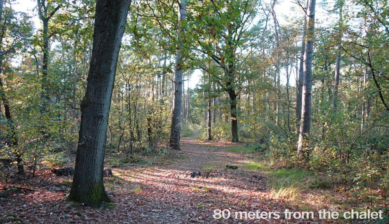 Boshuisje In Ijhorst Villa Exteriör bild