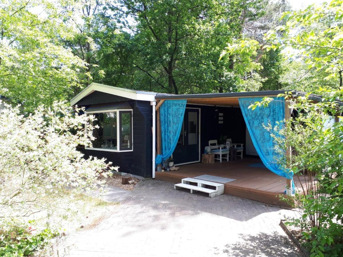 Boshuisje In Ijhorst Villa Exteriör bild